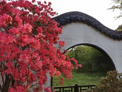 -苏州上方山国家森林公园