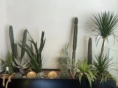 -J Create城市露营咖啡·简餐·宠物(上海动物园店)