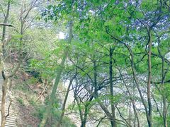 -严子陵钓台(富春江小三峡)