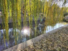 -元大都城垣遗址公园