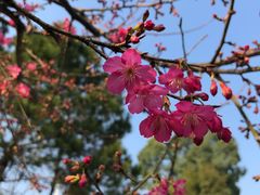 -广州市流溪河国家森林公园