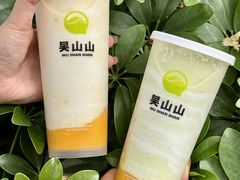 -吴山山·椰子酸奶(天河南店)