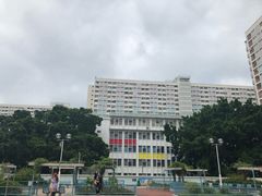 -彩虹村