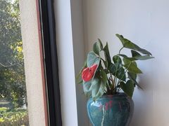 -荷风细雨·中国茶宴(碧云店)