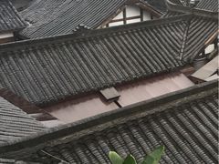 -星巴克臻选(成都宽窄巷子店)