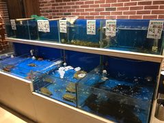 水产区-姜君·千岛湖鱼头馆(浦东大道店)