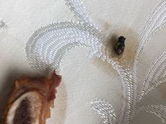 -盛武肥牛·清真海鲜火锅(昆区店)