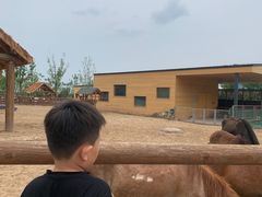 -太原动物园
