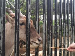 -泉州海丝野生动物世界