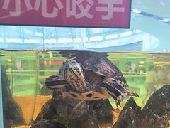 -北李·海肠捞饭·大连菜(高新万达店)