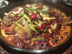-老板恋上鱼(高新万达店)