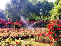 -郑州植物园
