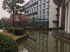 -洪湖悦兮半岛国际温泉度假村
