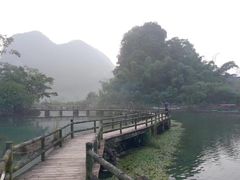 -靖西鹅泉风景区