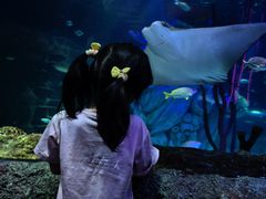 -沈阳海洋探索中心