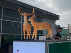 -梧桐餐厅(泉城路店)