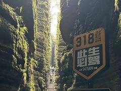 -梭布垭石林景区