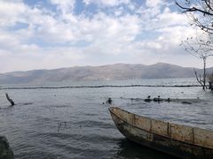 -大理洱海