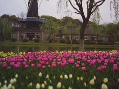 -上海鲜花港
