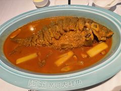-阿五黄河大鲤鱼(纬三路店)