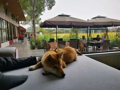 -洪湖家庭农场·团建·露营·会议