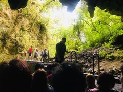 -怀托摩萤火虫洞