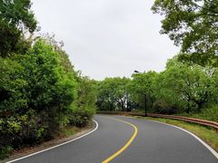 -宝界山林公园