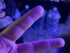 -剧狐剧本杀(徐汇1号店)