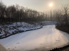 -大兴滨河森林公园