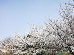 -堤角公园