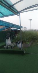 -可可天空农场(东部新城银泰店)