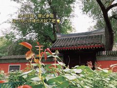 -元大都城垣遗址公园