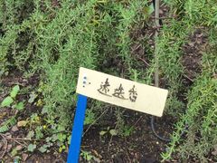 -黄兴公园