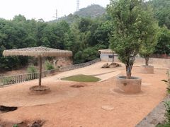 -泉州海丝野生动物世界