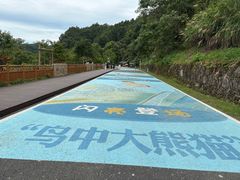 -婺源月亮湾