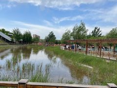 -北京鹿世界主题园