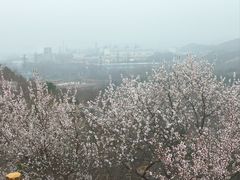-白水寺森林公园