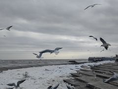 -天津东疆湾沙滩景区