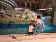 -帝企鹅自助餐厅•儿童岛•真企鹅(长隆企鹅酒店)