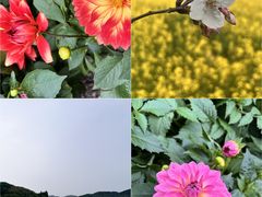 -贡湖湾湿地公园