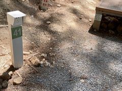 -重庆睡佛山森林公园