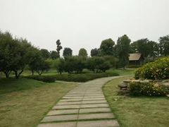 -秀丽东方
