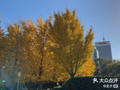 -中国宋庆龄青少年科技文化交流中心