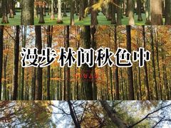 -渌洋湖湿地公园