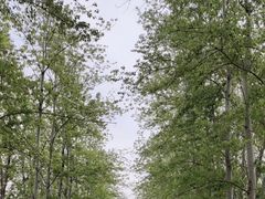 -东郊湿地公园