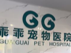 -乖乖宠物医院·猫科·骨科·24小时(云岗分院)