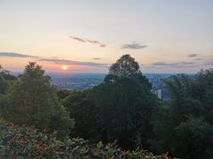 -铁山坪森林公园