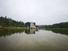 -东莞植物园