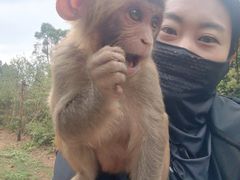 -昆明动物园