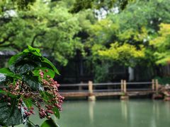 -惠山古镇·寄畅园